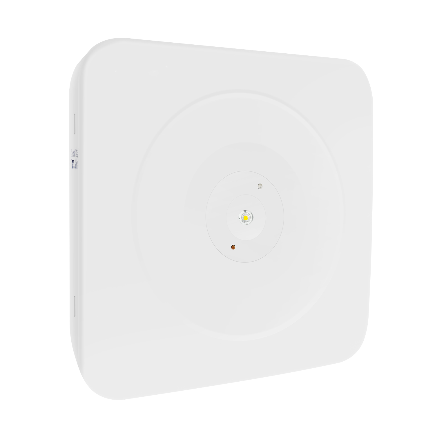 Emergency Downlight
